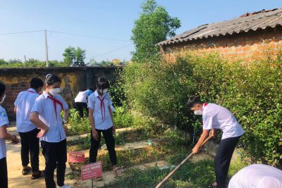 Liên đội đã trồng thêm và chăm sóc lại  Công trình măng non cấp liên đội “Vườn cây thuốc nam” để chào mừng ĐH Đoàn các cấp